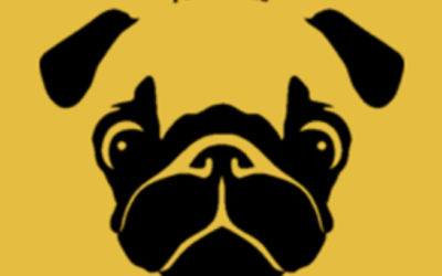 Edvard gör praktik på förlaget Pug